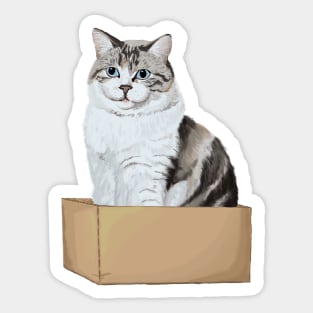 Box Kitty Sticker